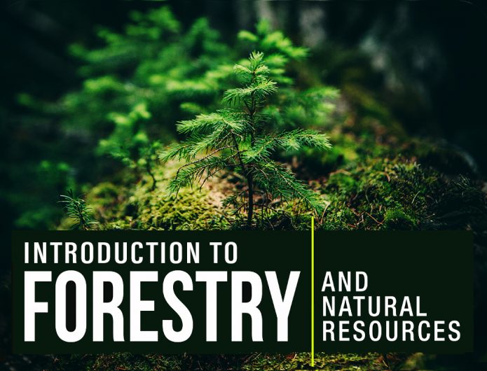 Natural resources and forest industry in