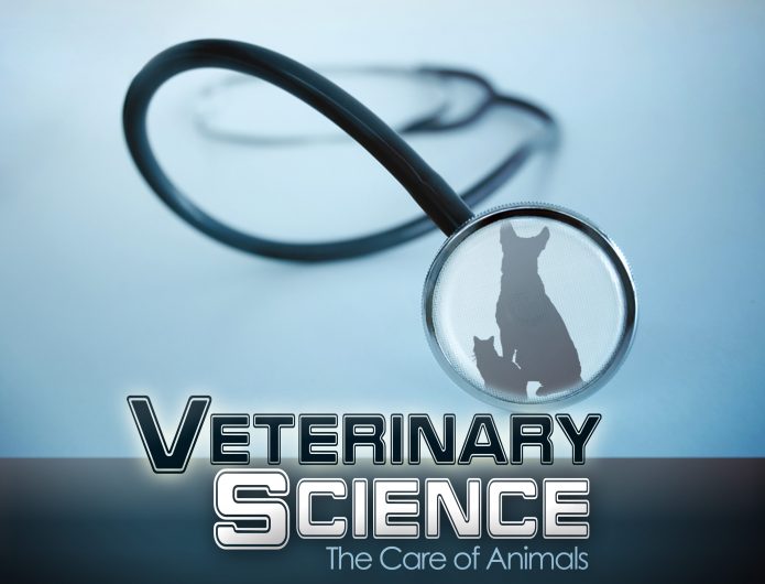 Veterinary Science: The Care Of Animals | EDynamic Learning