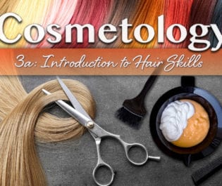 Cosmetology 3a: Introduction to Hair Skills