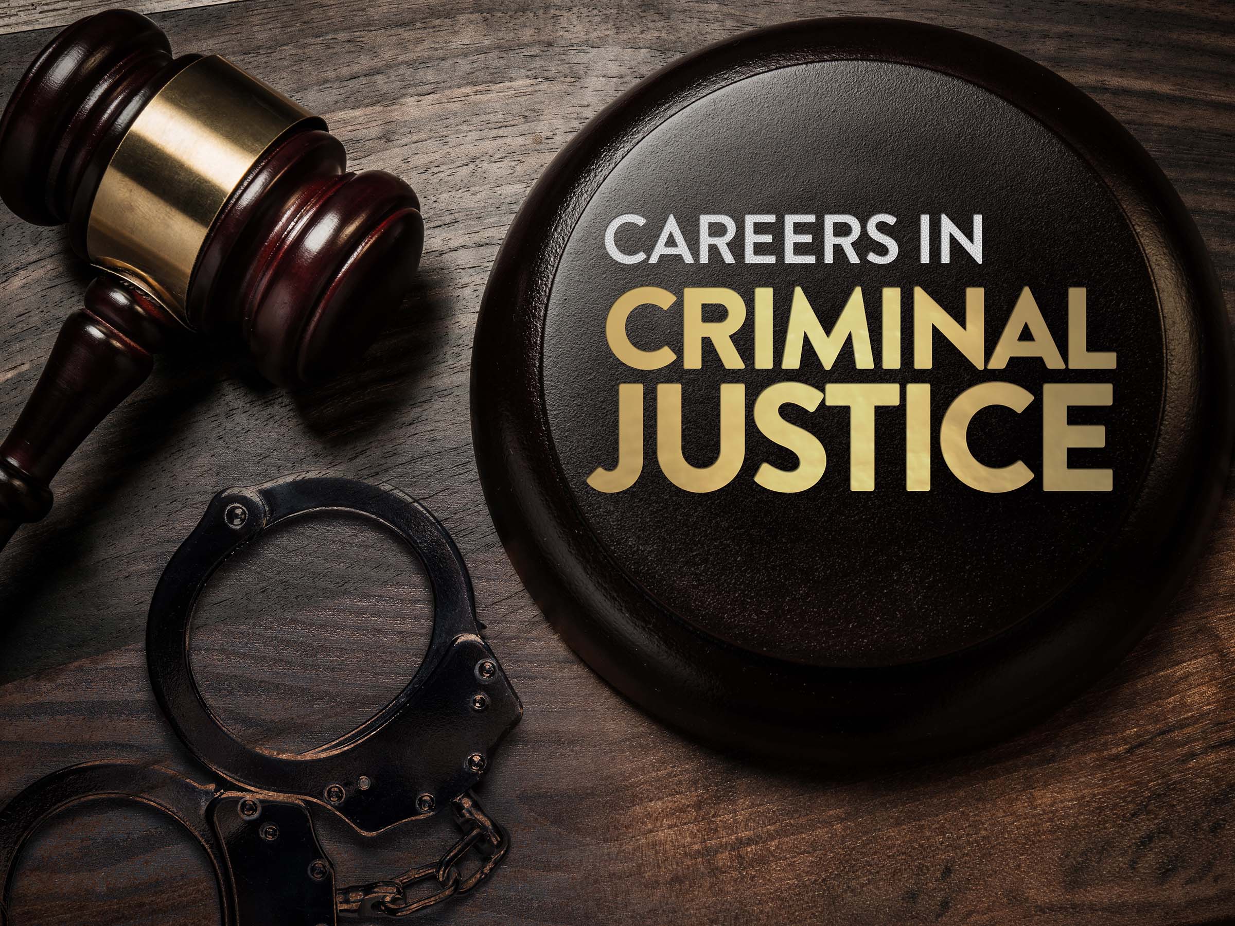 Careers In Criminal Justice EDynamic Learning