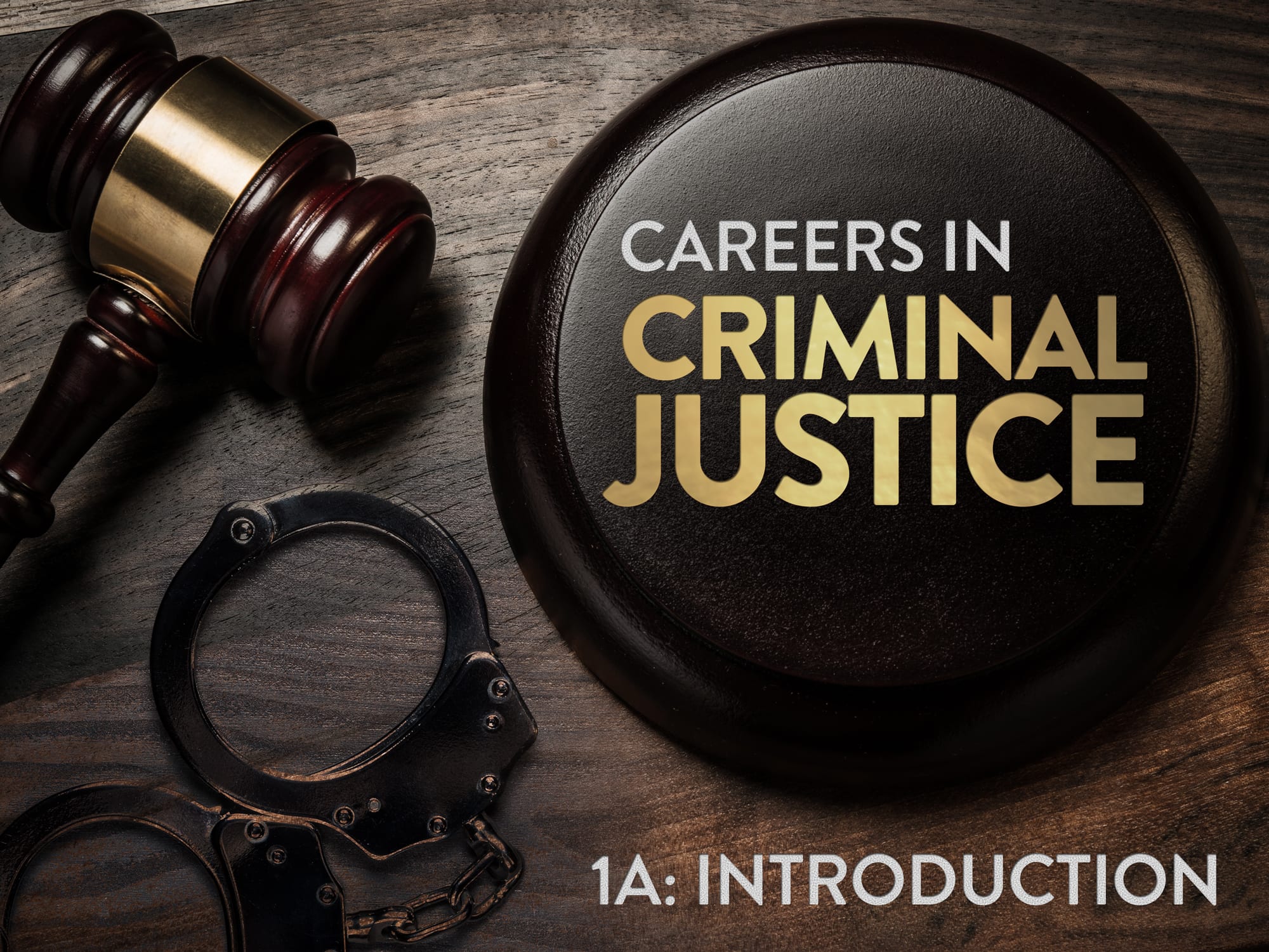 Careers in Criminal Justice