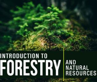 Introduction to Forestry & Natural Resources