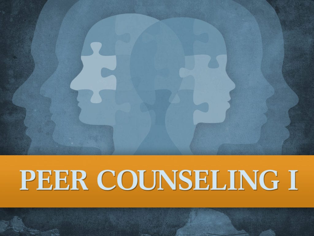 How To Be A Peer Counselor