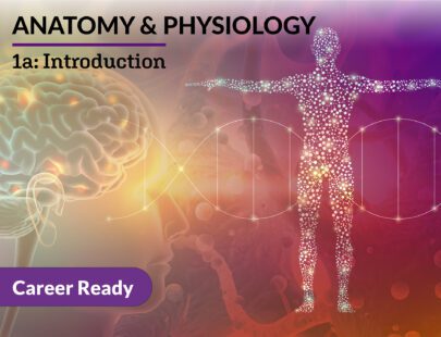 Anatomy & Physiology: 1a Introduction