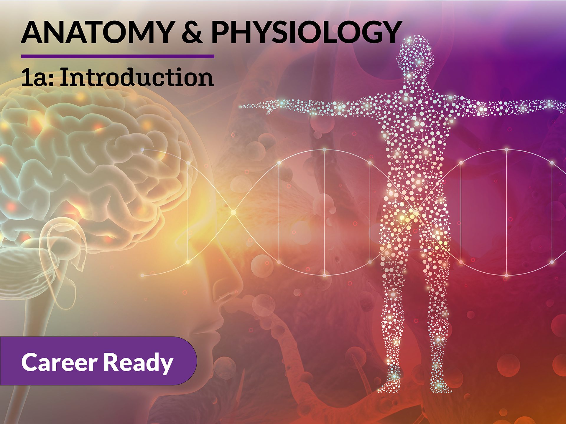Anatomy & Physiology: 1a Introduction