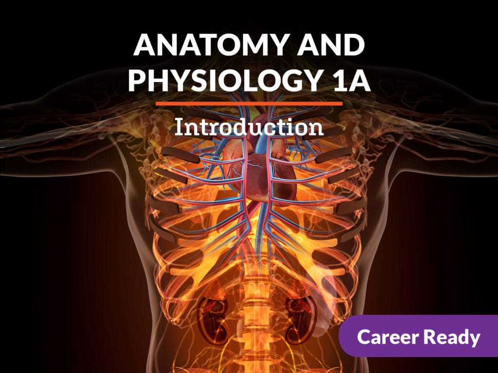 Anatomy and Physiology 1A Course
