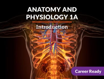 Anatomy and Physiology 1A Course