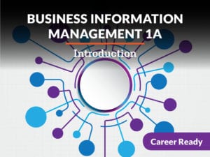 Business Information Management