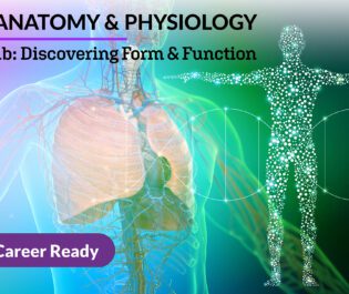 Anatomy and Physiology 1b: Discovering Form and Function