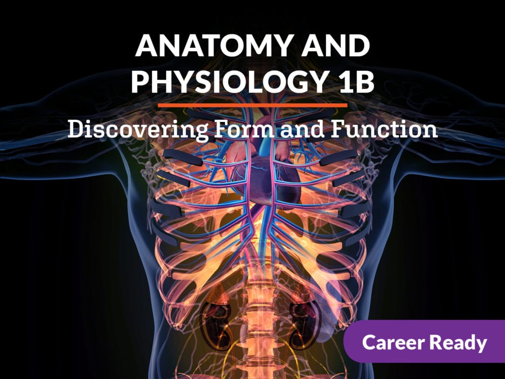 Anatomy and Physiology 1b: Discovering Form and Function | eDynamic