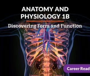 Anatomy and Physiology 1b: Discovering Form and Function