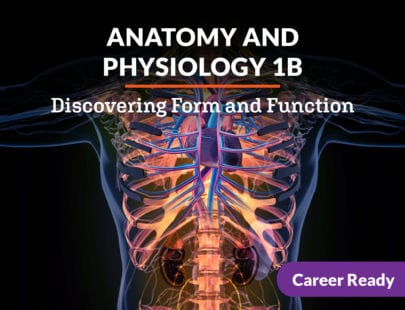 Anatomy and Physiology 1B Course