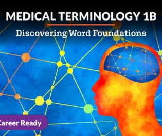 Medical Terminology 1b: Discovering Word Foundations