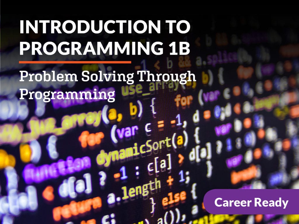 problem solving programming course