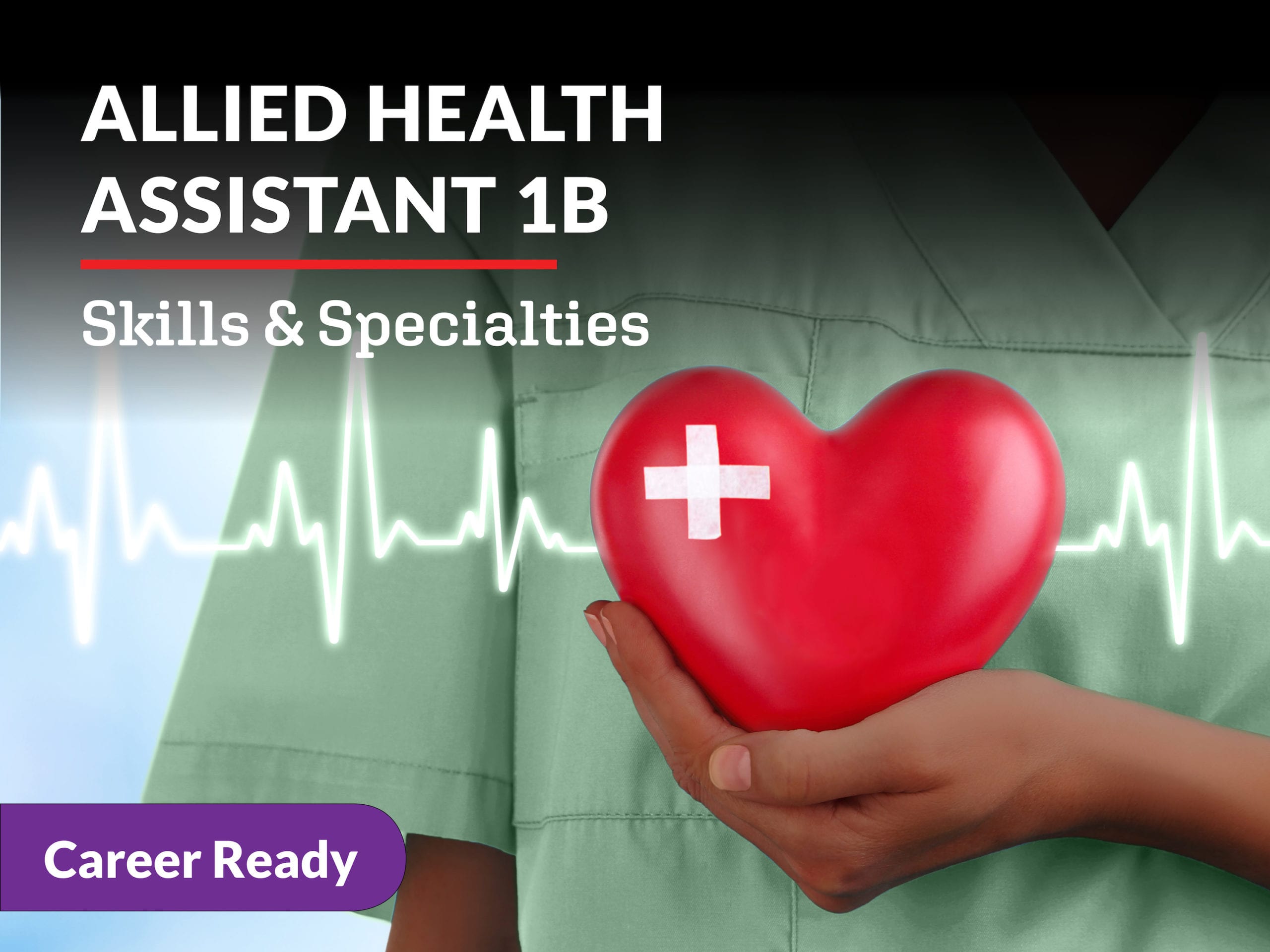 Allied Health Assistant 1b: Skills and Specialities