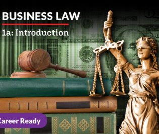 Business Law 1a: Introduction