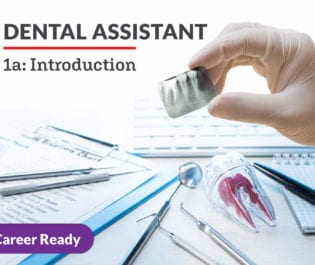 Dental Assistant 1a: Introduction