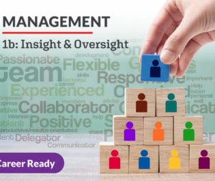 Management 1b: Insight & Oversight