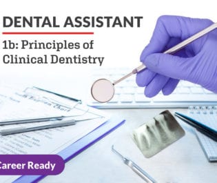 Dental Assistant 1b: Principles of Clinical Dentistry