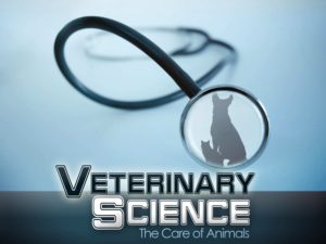 vet science course cover