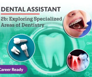Dental Assistant 2b: Exploring Specialized Areas of Dentistry