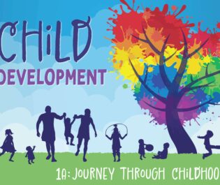 Child Development 1a: Journey through Childhood