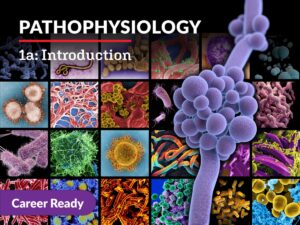 Pathophysiology 1a