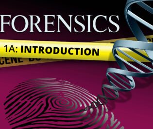 Forensics 1a: Introduction