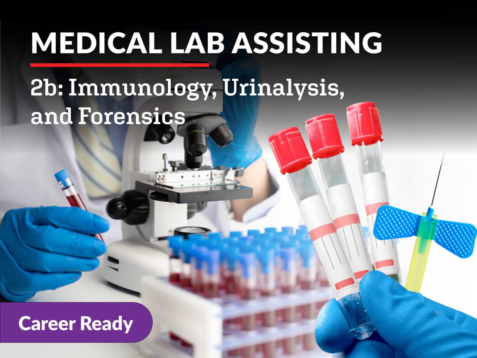 Medical Lab Assisting 2b: Immunology, Urinalysis, and Forensics ...