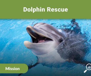 Mission: Dolphin Rescue